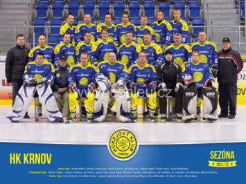Hokejový tým v dresech Bison Sportswear