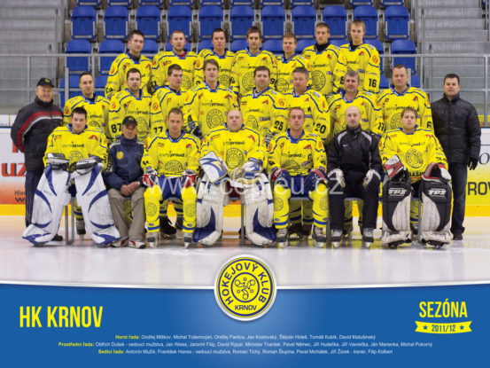 Hokejový tým v dresech Bison Sportswear