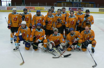 Hokejový tým v dresech Bison Sportswear