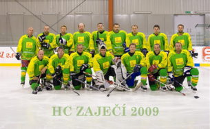 Hokejový tým v dresech Bison Sportswear