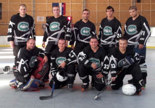Hokejový tým v dresech Bison Sportswear
