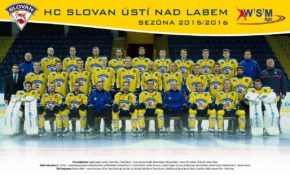 Hokejový tým v dresech Bison Sportswear