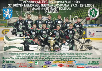 Hokejový tým v dresech Bison Sportswear