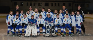 Hokejový tým v dresech Bison Sportswear