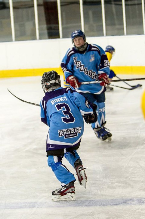 Hokejový tým v dresech Bison Sportswear