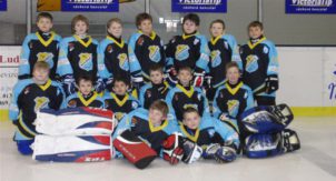 Hokejový tým v dresech Bison Sportswear