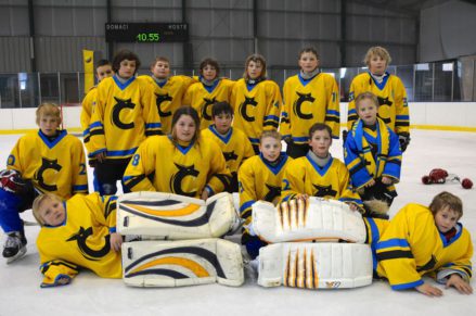 Hokejový tým v dresech Bison Sportswear