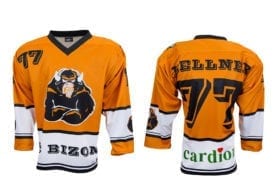 Hokejový dres Bison Sportswear