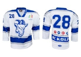 Hokejový dres Bison Sportswear