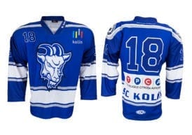 Hokejový dres Bison Sportswear