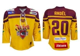 Hokejový dres Bison Sportswear