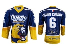 Hokejový dres Bison Sportswear